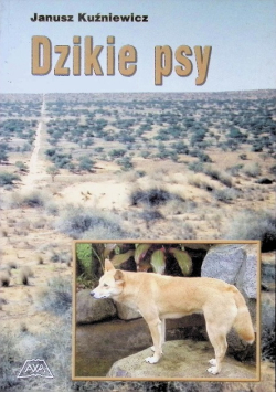 Dzikie psy