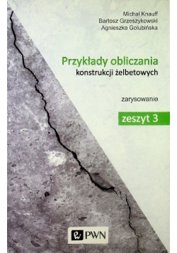 Przykłady obliczania konstrukcji żelbetowych Zeszyt 3
