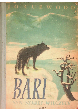 Bari syn starej wilczycy