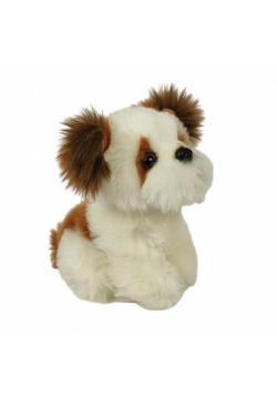 Pies shih tzu 18cm