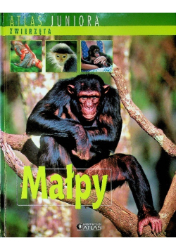 Atlas juniora Małpy