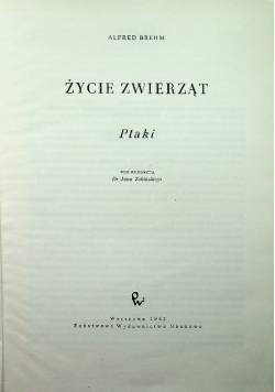 Życie zwierząt Ptaki