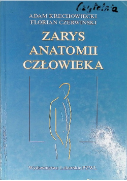 Zarys anatomii człowieka