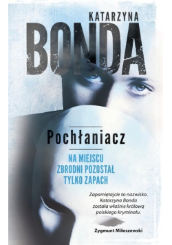 Pochłaniacz