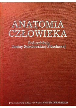 Anatomia człowieka