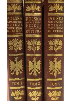 Polska jej dzieje i kultura od czasów najdawniejszych aż do chwili obecnej 1927 - 1930 Tom 1 do 3