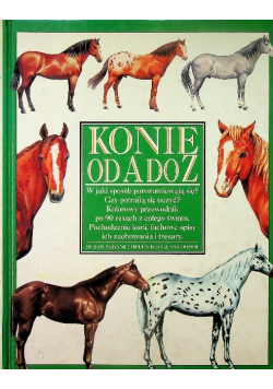 Konie od a do z