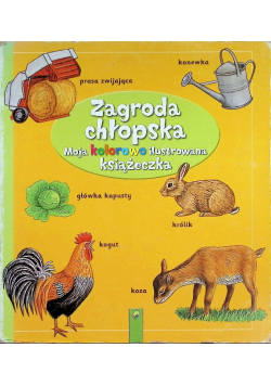 Zagroda chłopska moja kolorowo