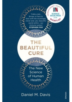 The Beautiful Cure
