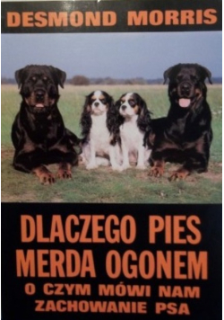Dlaczego pies merda ogonem