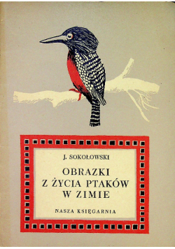 Obrazki z życia ptaków w zimie