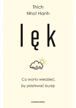 Lęk Co warto wiedzieć by przetrwać burzę