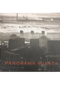 Panorama miasta