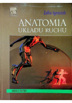 Anatomia układu ruchu