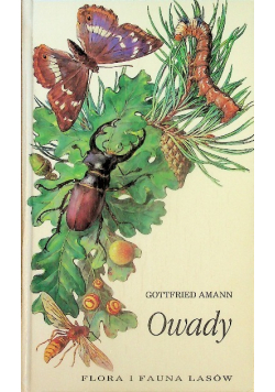 Owady