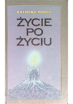 Życie po życiu