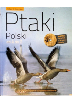 Ptaki Polski od A do Ż