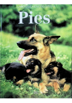 Pies
