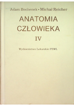 Anatomia człowieka Tom IV
