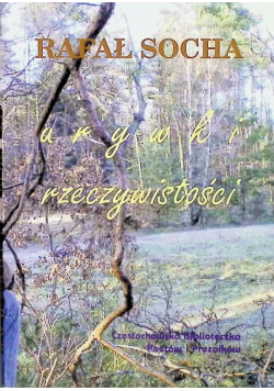 Urywki rzeczywistości