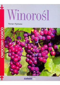 Winorośl