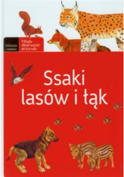 Ssaki lasów i łąk
