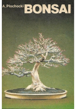 Bonsai