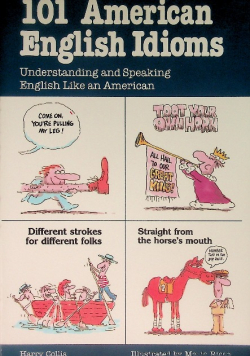 101 American English idioms
