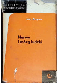 Nerwy i mózg ludzki