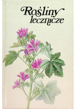 Rośliny lecznicze i bogate w witaminy