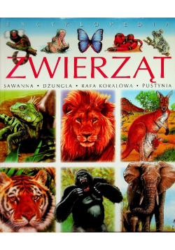 Encyklopedia Zwierząt Sawanna Dżungla Rafa Koralowa