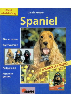 Spaniel