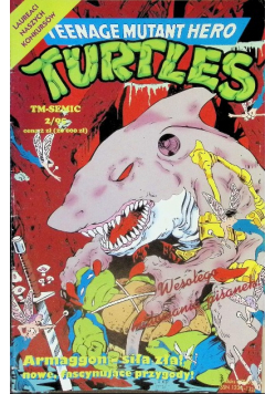 Turtles Nr 2 / 95