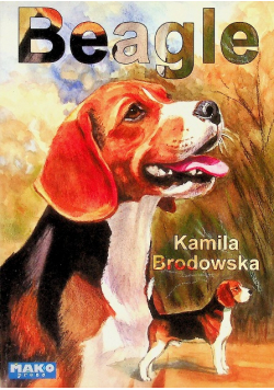 Beagle