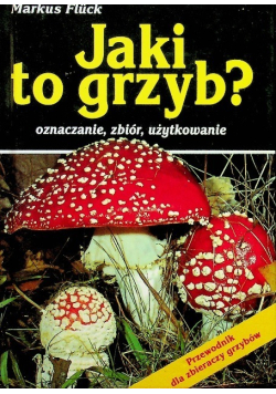 Jaki to grzyb