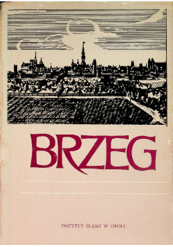Brzeg dzieje gospodarka kultura