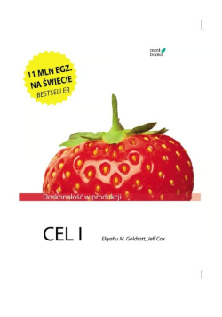 Cel I  Doskonałość w produkcji
