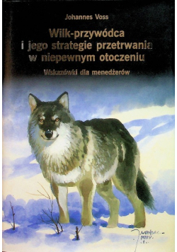 Wilk przywódca i jego strategie przetrwania w niepewnym otoczeniu