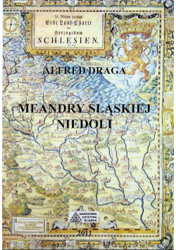 Meandry śląskiej niedoli
