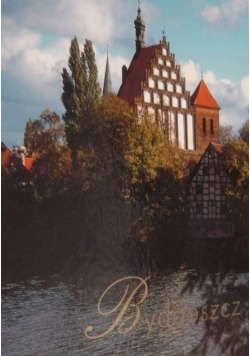 Gród nad Brdą