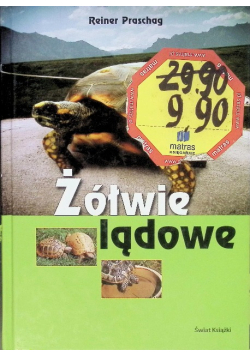 Żółwie lądowe