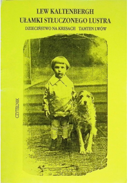 Ułamki stłuczonego lustra