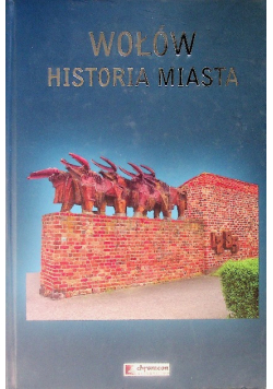 Książka Wołów Historia Miasta
