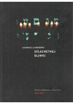 Czerpiąc z korzenia szlachetnej oliwki