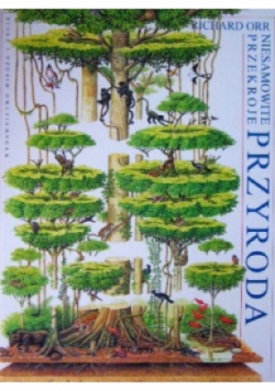 Niesamowite przekroje przyroda
