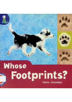 Whose Footprints?