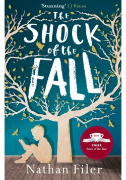The shock of the fall