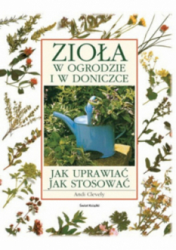 Zioła w ogrodzie w doniczce