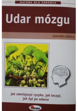 Udar mózgu