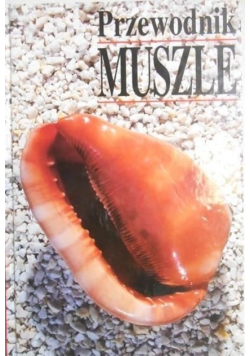 Przewodnik muszle